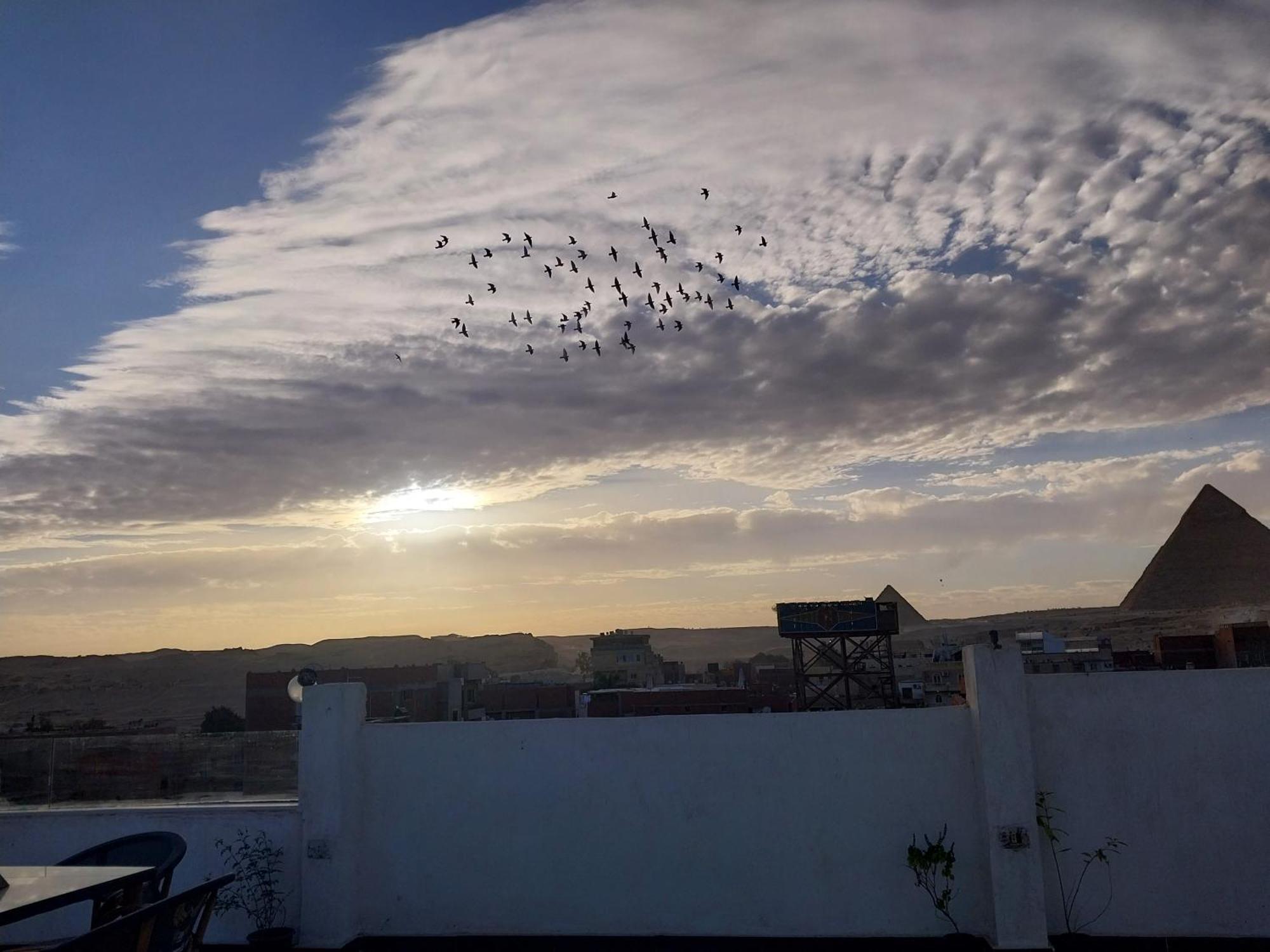 Eagles Pyramids View Otel Kafret el-Gabal Dış mekan fotoğraf